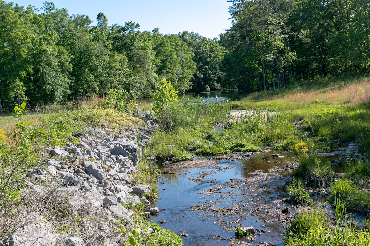 nature at Upland Village_why retire in cumberland county