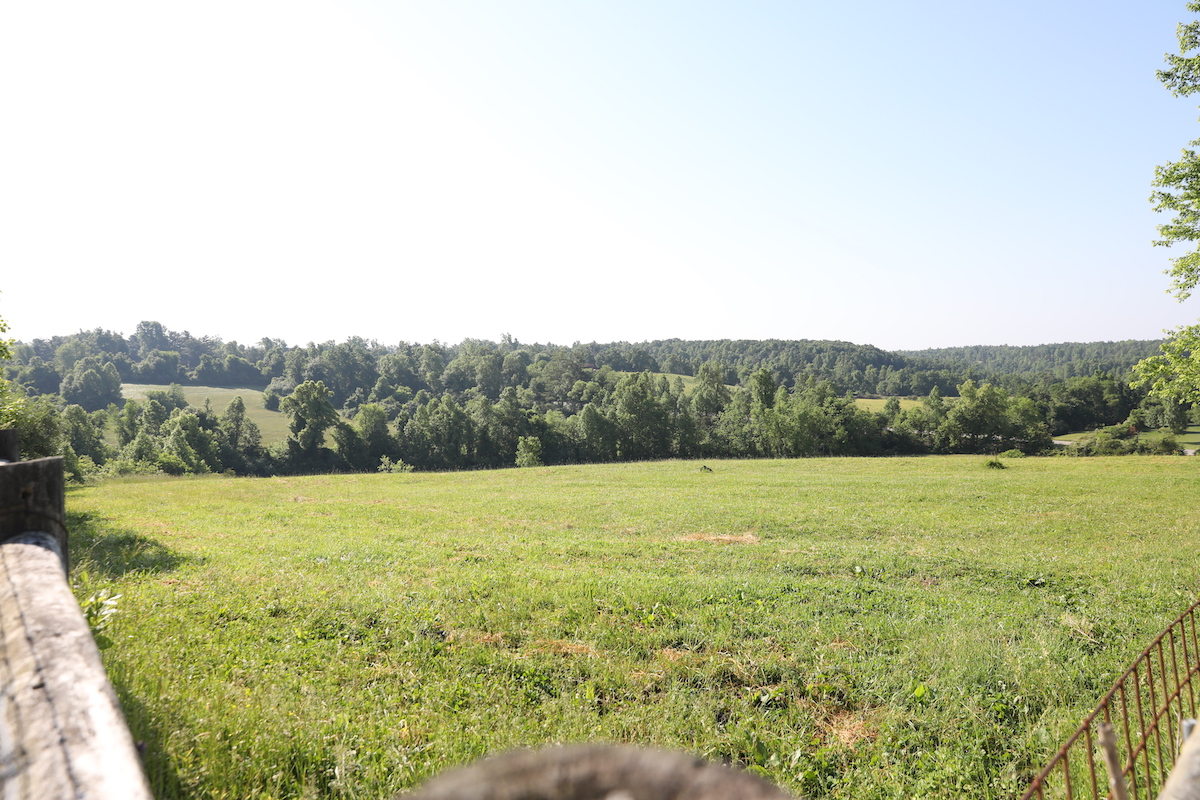 Uplands Village_Field with Mountains