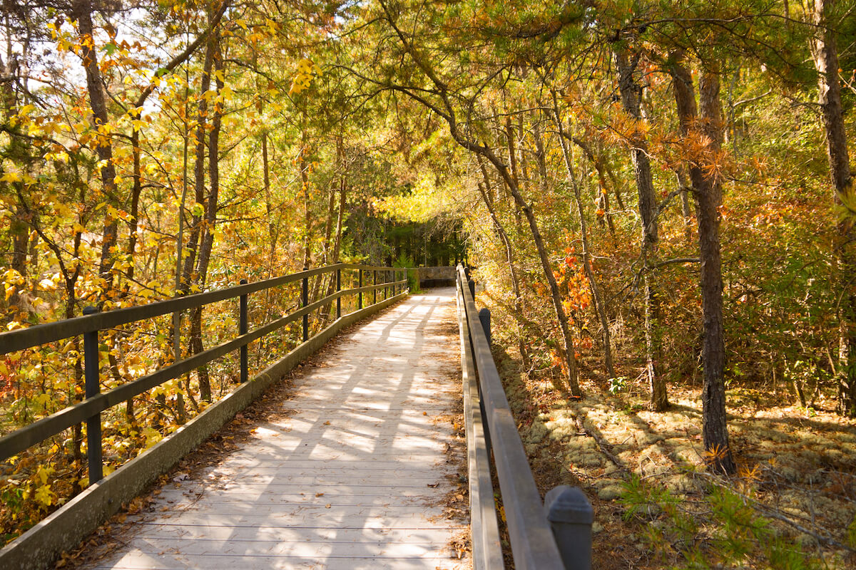The boardwalk at Lilly Bluff overlook, Obed Wild and Scenic River national park