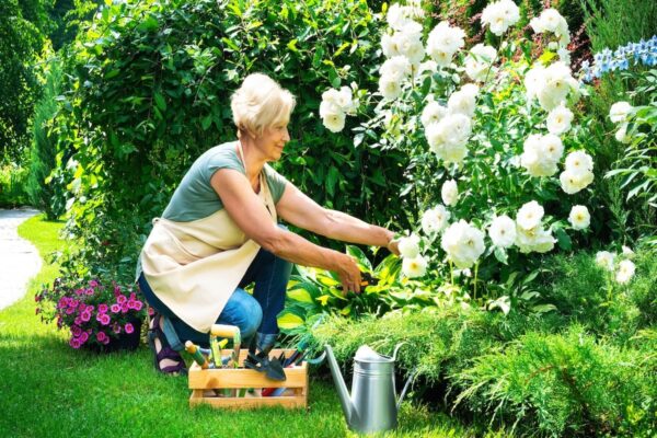 benefits of gardening