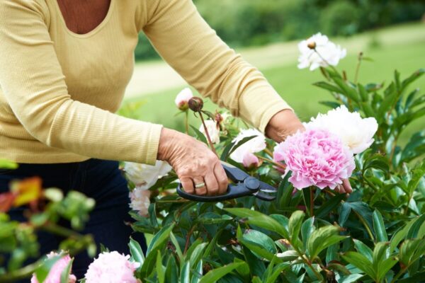 Explore Key Benefits of Nature for Older Adults